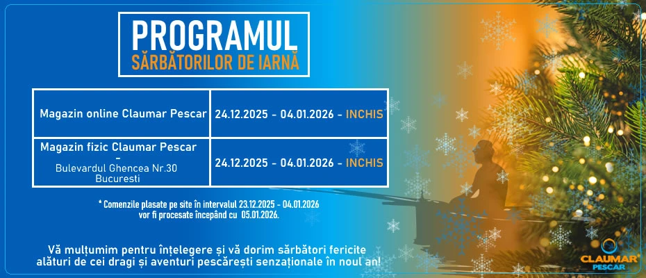 Program Sarbatori de Iarna