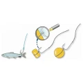 Inele Elastice Stonfo pentru Pelete nr1, 3-6mm Inele Elastice Stonfo pentru Pelete nr1, 3-6mm