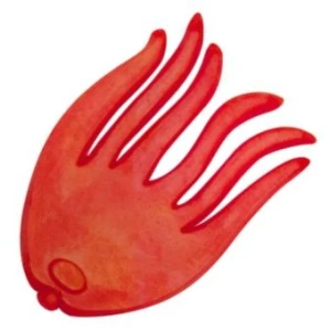 Opritor Momeala ZEBCO DB Series Bait Holding Flags, 20buc/pac Opritor Momeala ZEBCO DB Series Bait Holding Flags, 20buc/pac