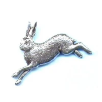 INSIGNA BROWNING IEPURE INSIGNA BROWNING IEPURE