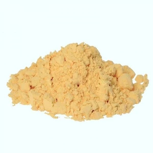 PUDRA DE OU STICKY BAITS EGG POWDER 500GR