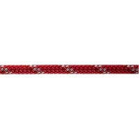 Parama Pentru Vela Robline Leech Line, 4mm, Rosu/argintiu