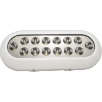 Proiector LED Subacvatic ALLROUNDMARIN, 14 LED-uri, Alb