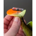 Zarnoitoare Sticla Fox Rage Strike Point Hitcher Rattle Medium, 3buc Zarnoitoare Sticla Fox Rage Strike Point Hitcher Rattle Medium, 3buc
