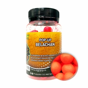 Pop-Up MG Special Carp Belachan (10-14mm) 25gr