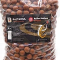 Boilies Baltacul Birdfood Tare Capsuni 20mm 5kg 