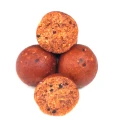 Boilies Claumar Birdfood Tare Squid And Scopex 24mm 5kg PUNGA