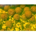 Boilies Claumar Fishmeal Nuclear Frankfurter 4kg 20mm