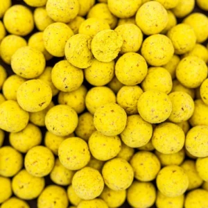 Boilies PRO LINE Scopex N-Butyric, 20mm, 5kg