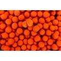 Boilies PRO LINE Squid & Strawberry, 25mm, 5kg