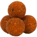 Boilies Tare AVID Carp Nutrition, Plum & Peach, 20mm, 1kg Boilies Tare AVID Carp Nutrition, Plum & Peach, 20mm, 1kg