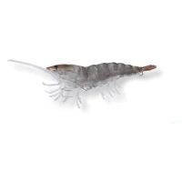 NALUCA SAVAGE SHRIMP 10CM/17G SAND