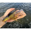 Jig Head FOX RAGE Buck Pike Large, Red Wake, 56g, 1buc/pac