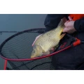Cap Minciog Nytro Latex Big Fish 50cm, 8.5mm Cap Minciog Nytro Latex Big Fish 50cm, 8.5mm