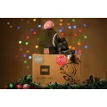 Set Cadou NASH Christmas Mystery Box Set Cadou NASH Christmas Mystery Box