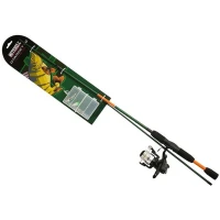 Combo MITCHELL Target II Perch, 10-30g, 1.80m, 2seg + Mulineta 2000
