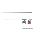 Set Spinning Delphin GreenSPIN 210cm/30g plus 2T0.22mm Set Spinning Delphin GreenSPIN 210cm/30g plus 2T0.22mm