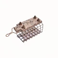 Cosulet Feeder FL Patrat cu Pini 70g Cosulet Feeder FL Patrat cu Pini 70g