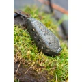 Cosulet Feeder KORUM Bait Gripper Feeder, 120g, 1buc/pac