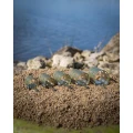 Cosulet MATRIX Plastic Open Ended Feeder S, 20g, 1buc/pac Cosulet MATRIX Plastic Open Ended Feeder S, 20g, 1buc/pac