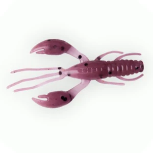 Rac Fanatik Raider 1.6 40mm 021 Plum UV