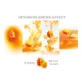 Wafters ZFISH Smoke Hurricane 8-10mm, Sweet Corn-Creme, 30g(100buc) Wafters ZFISH Smoke Hurricane 8-10mm, Sweet Corn-Creme, 30g(100buc)
