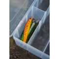 Cutie ZEBCO Trophy Box Large 2, 36x22.5x3.5cm