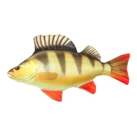 Perna Energo Team Peste Biban Perna Energo Team Peste Biban