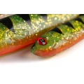 Grub Fox Rage Slick Eel, UV Perch, 28cm, 1buc/pac Grub Fox Rage Slick Eel, UV Perch, 28cm, 1buc/pac