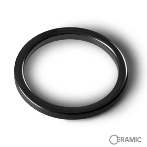 Set de Inserții pentru Lansetă Delphin CERAMIC Mix Nr.50 , 2buc/pac