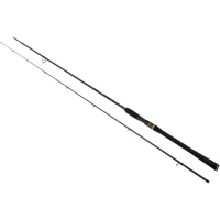Lanseta Formax Aries Cast, 2.58m, 40-80g, 2seg