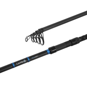 Lanseta Delphin CAPRI Tele NXT 2.40m, 60g, 5seg