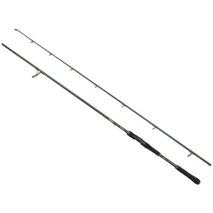 Lanseta ABU GARCIA Beast-X Spinning Rod, 2.51m, 30-110g, 2seg