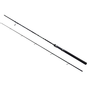Lanseta EnergoFish Wizard Active Spin, 2.00m, 10-30g, 2seg Lanseta EnergoFish Wizard Active Spin, 2.00m, 10-30g, 2seg