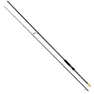 Lanseta FORMAX Thunder Ng Spin, 2.75m, 40-80g, 2seg