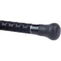 Lanseta SHIMANO Beastmaster BX Boat Quiver, 250g, 3.00m, 2+2seg