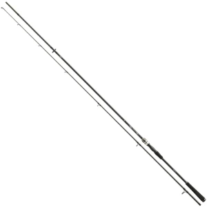 Lanseta Spinning Daiwa Exceler Spin 2.40m, 10-40g, 2seg