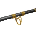 Lanseta Delphin HAZARD BxG 2.55m, 505g, 2seg Lanseta Delphin HAZARD BxG 2.55m, 505g, 2seg