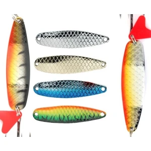 LINGURA JAXON HR OSTA 1B 14GR