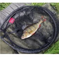 Minciog Fox Rage Street Fighter Landing Nets 2.4M Minciog Fox Rage Street Fighter Landing Nets 2.4M