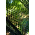 Minciog ZEBCO Latex Fast Net, 50x40cm