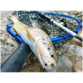 Minciog RTB Rubber Landing Net Black and Blue, 30x35cm Minciog RTB Rubber Landing Net Black and Blue, 30x35cm