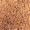 Alune Tigrate STICKY BAITS Tiger Nuts Seed Standard, 8-12mm, 1kg  Alune Tigrate STICKY BAITS Tiger Nuts Seed Standard, 8-12mm, 1kg