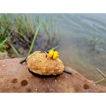 Momitor FeederX Method Feeder Wild Carp 60g Momitor FeederX Method Feeder Wild Carp 60g