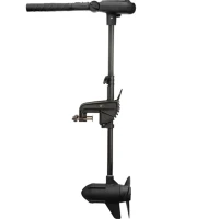 Motor Electric Haswing Protruar 2 Hp 85lbs Brushless