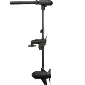 Motor Electric HASWING Protruar 2 HP 85lbs Brushless