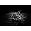 MULINETA DAIWA CERTATE G LT 2500-XH MULINETA DAIWA CERTATE G LT 2500-XH