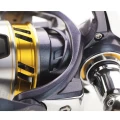 MULINETA DAIWA REGAL LT 2500D