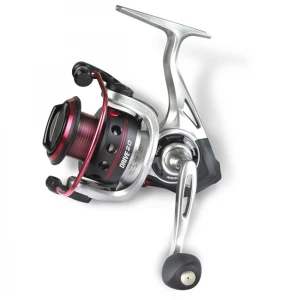 Mulineta Quantum Drive, DR10