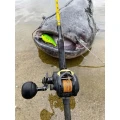 Mulineta Baitcaster BLACK CAT Cast 301 LH, 0.33mm/210m, 4+1rul Mulineta Baitcaster BLACK CAT Cast 301 LH, 0.33mm/210m, 4+1rul